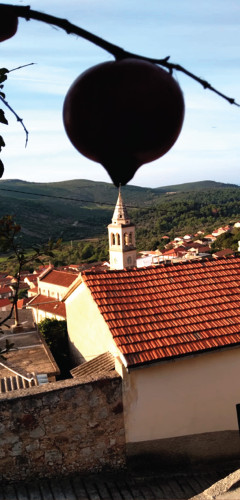 ŠIPAK