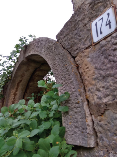 SMOKVICA 174